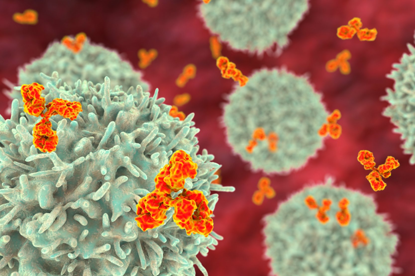 severe-combined-immunodeficiency-treatment-2x