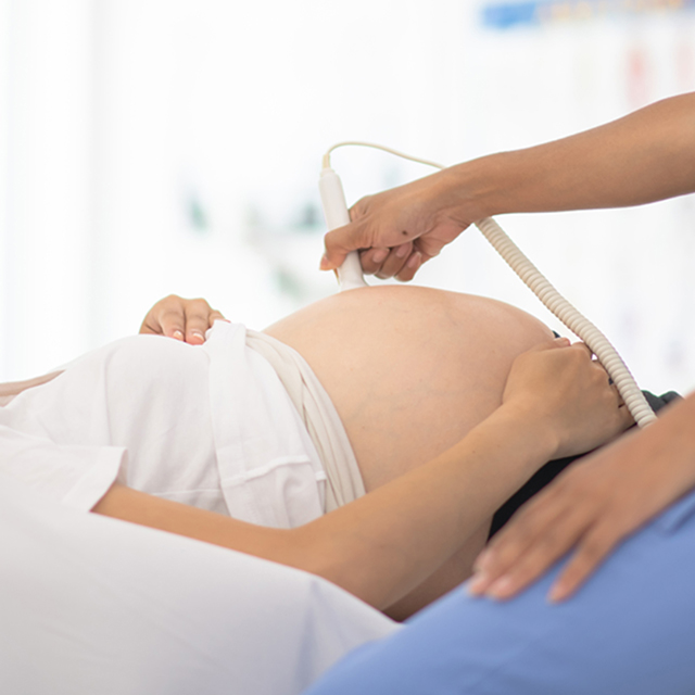 fetal-cardiovascular-program-320x320-2x
