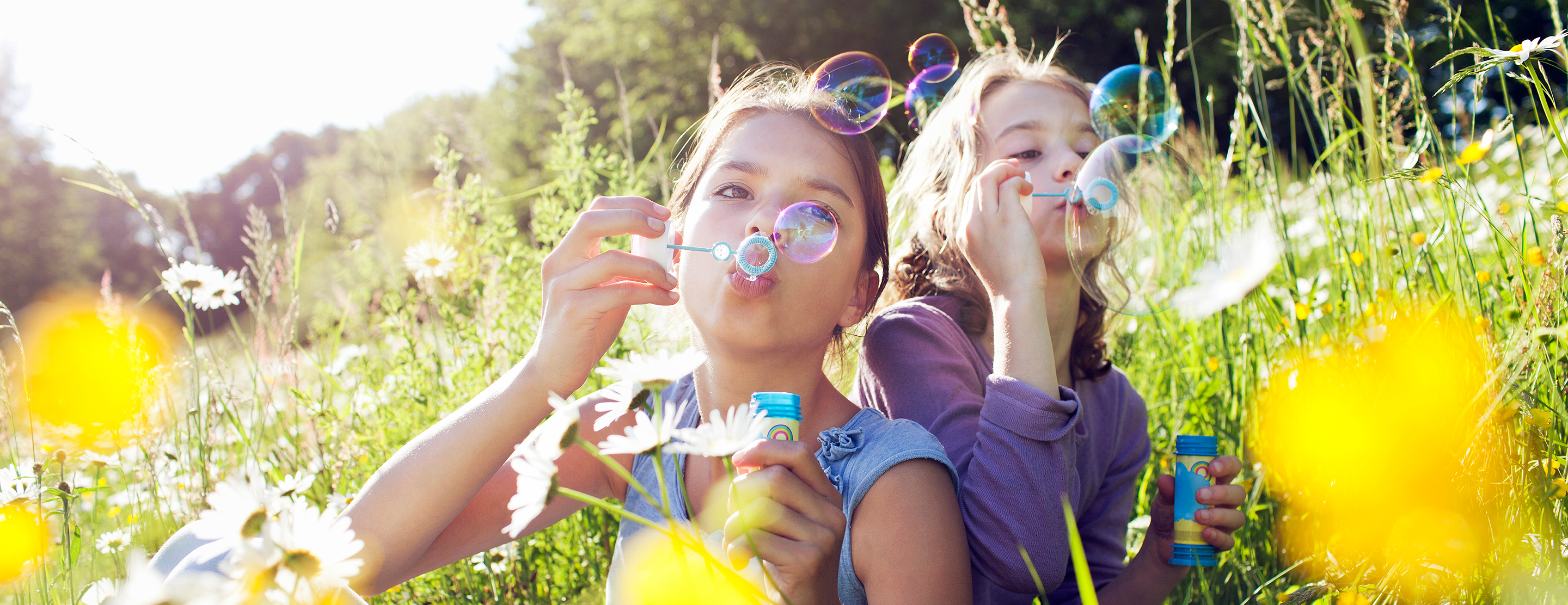 conditioning-regimen-for-a-bmt-2x