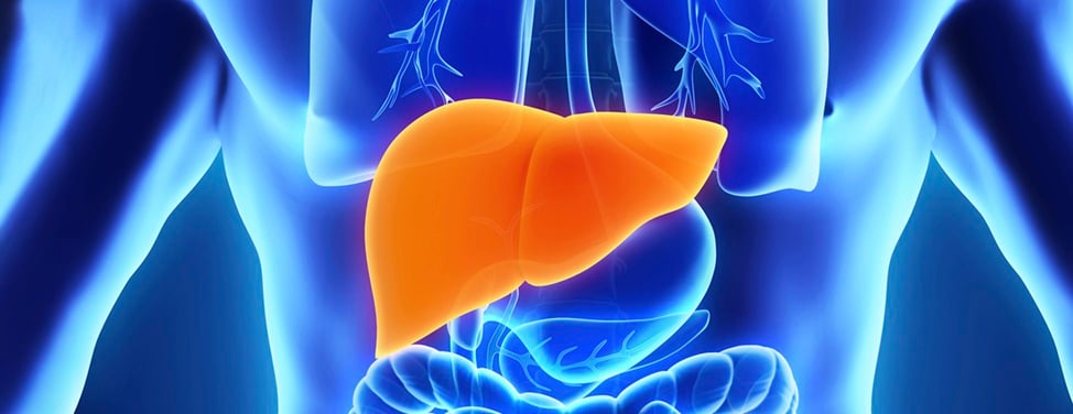 liver-donors-faq-evaluation-to-become-a-donor-2x
