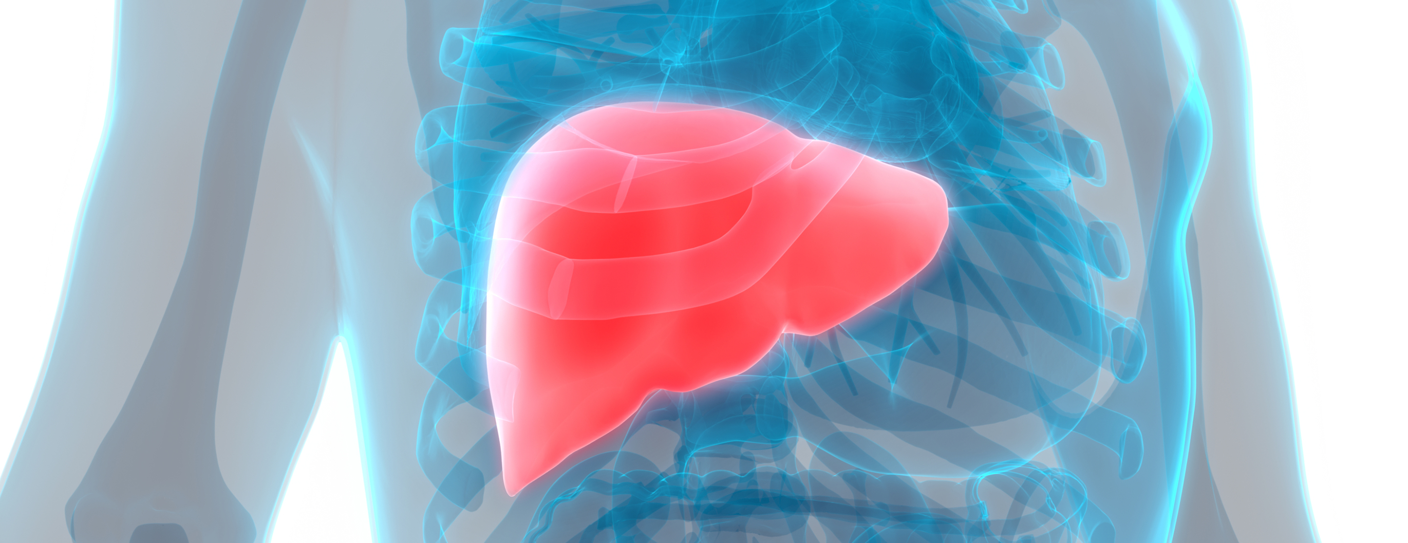 liver-donors-faq-living-donor-liver-transplantation-2x