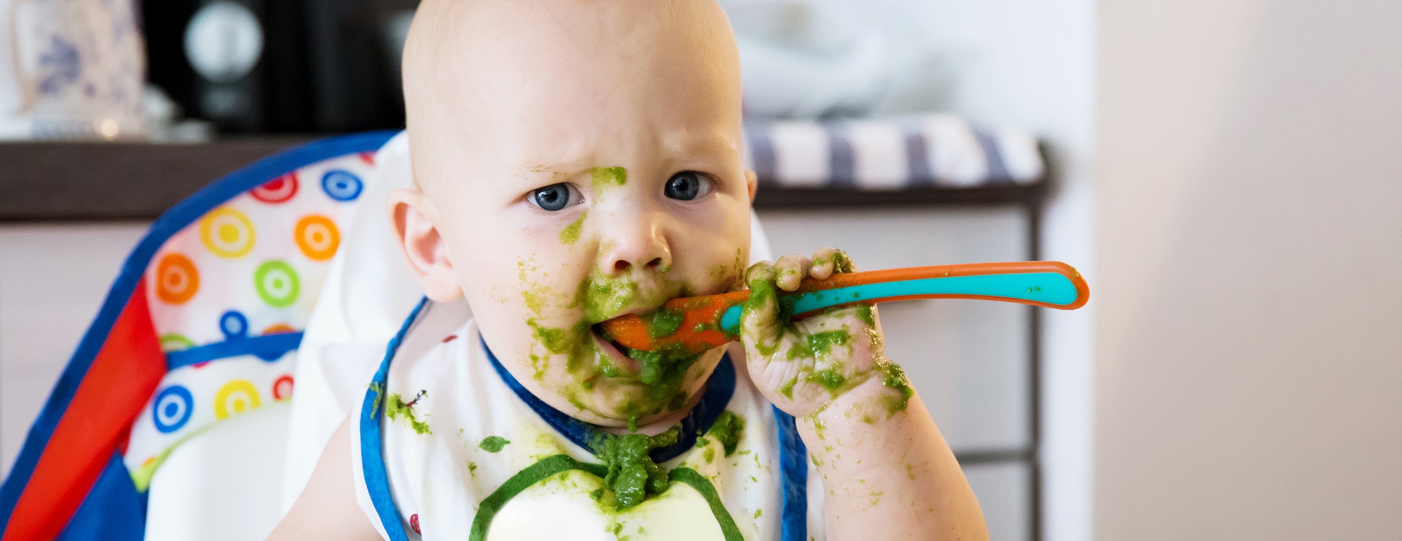 Use Fresh Food Feeders to Introduce Solid Foods to Baby