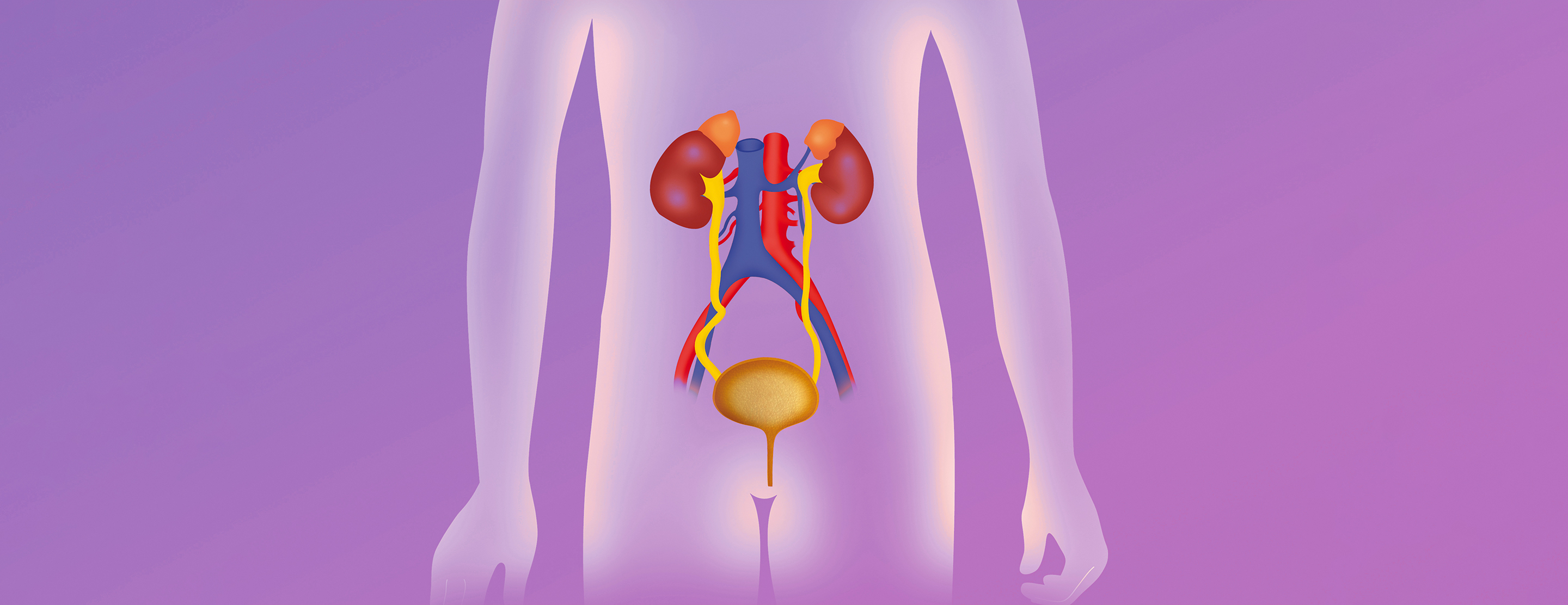 ureteral-reimplant-surgery-faq-2x
