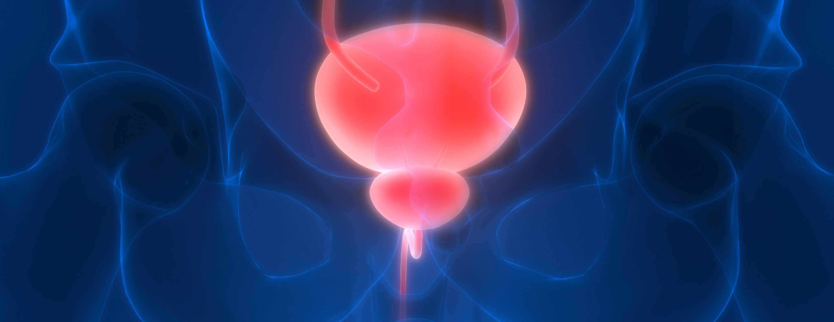 what-to-expect-during-a-vcug-2x