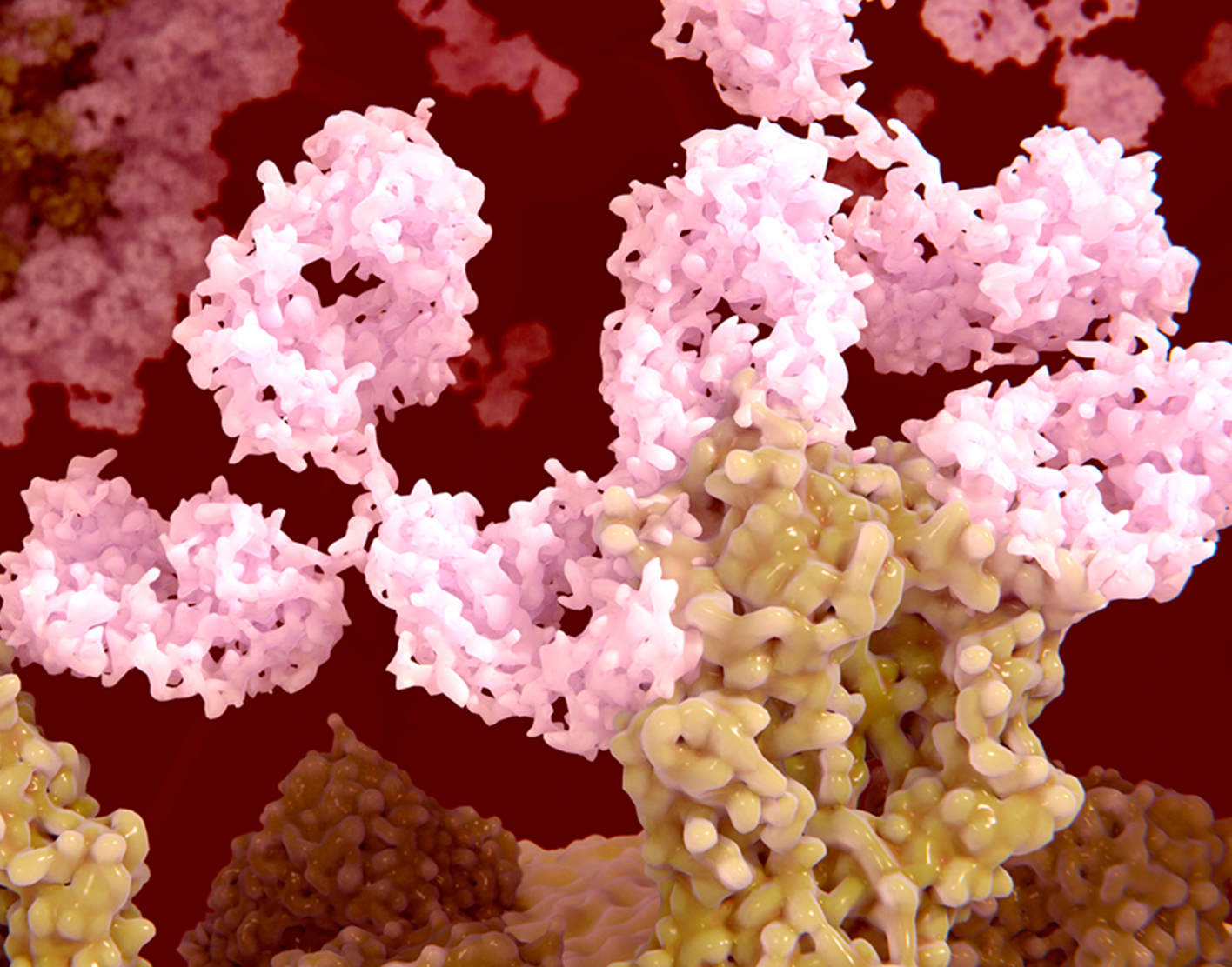 elisa-blood-test-708x556-2x