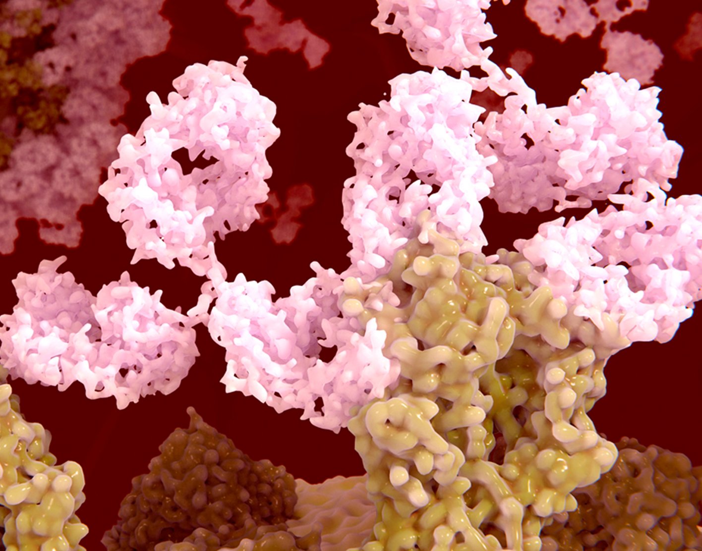 elisa-blood-test-708x556-2x