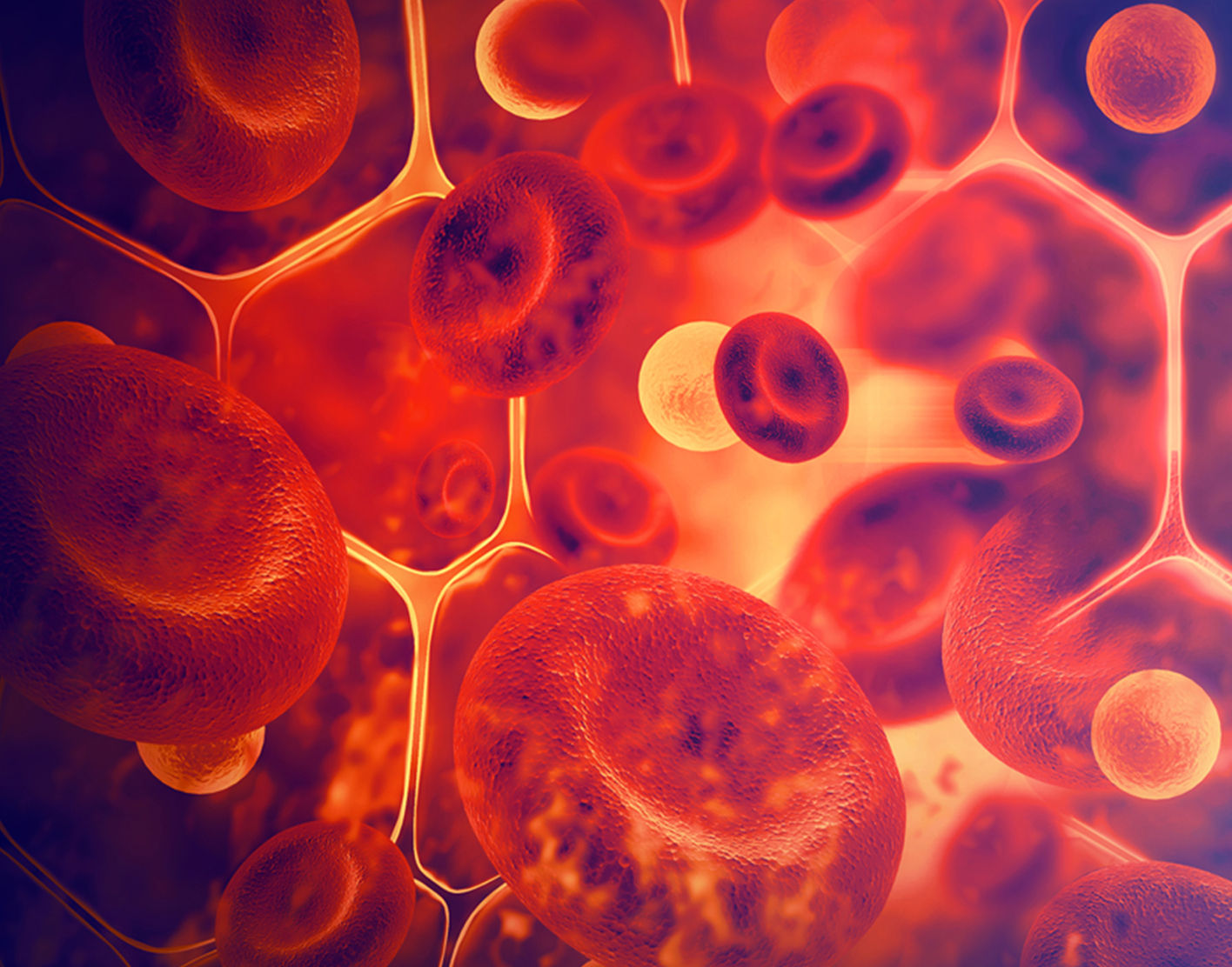 ferritin-blood-test-708x556-2x