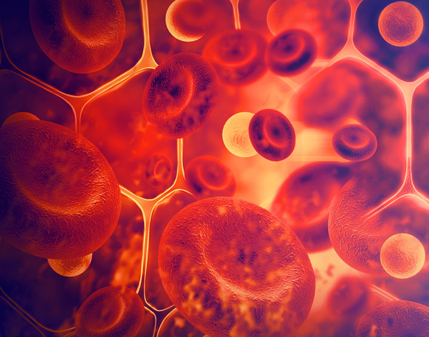ferritin-blood-test-708x556-2x