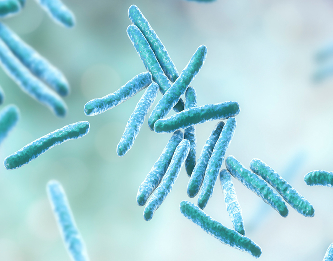 gastric-culture-708x556-2x