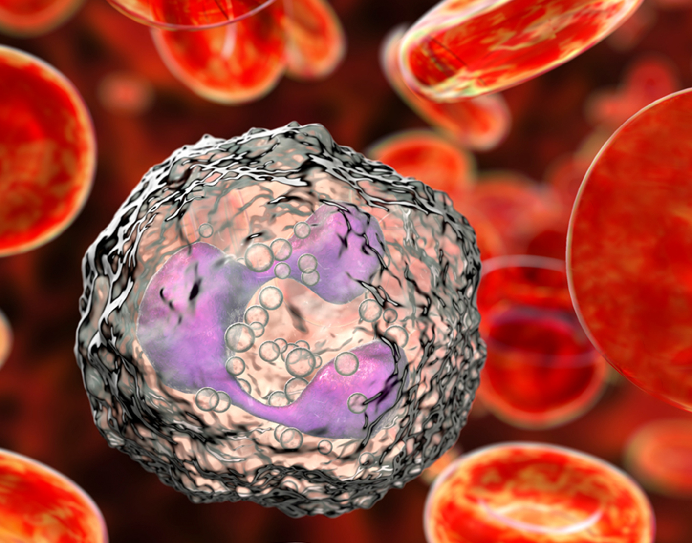 granulocyte-708x556-2x