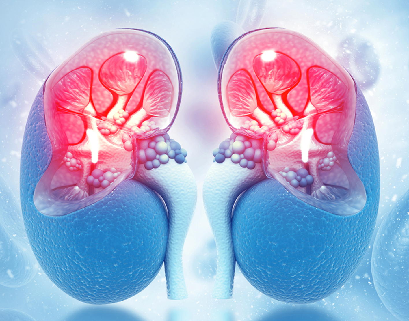 renal-arteriography-708x556-2x