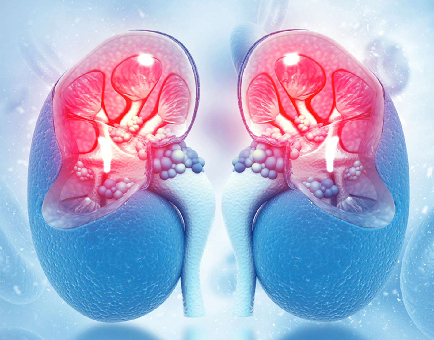 renal-scan-708x556-2x