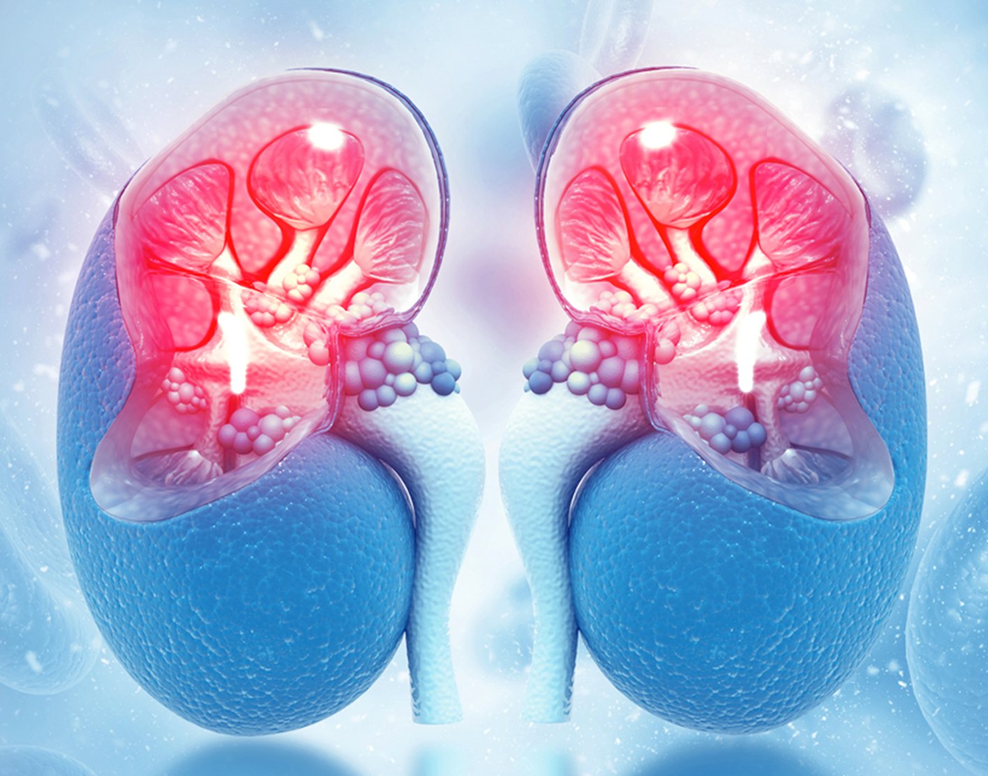 renal-venogram-708x556-2x
