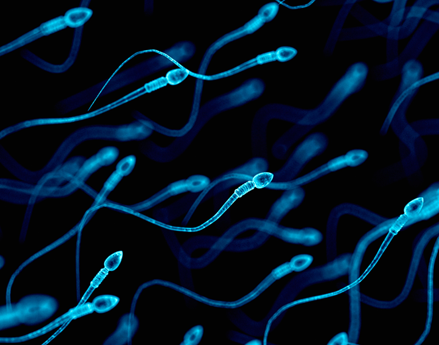 semen-analysis-708x556-2x