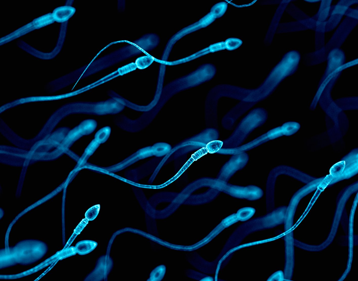 semen-analysis-708x556-2x