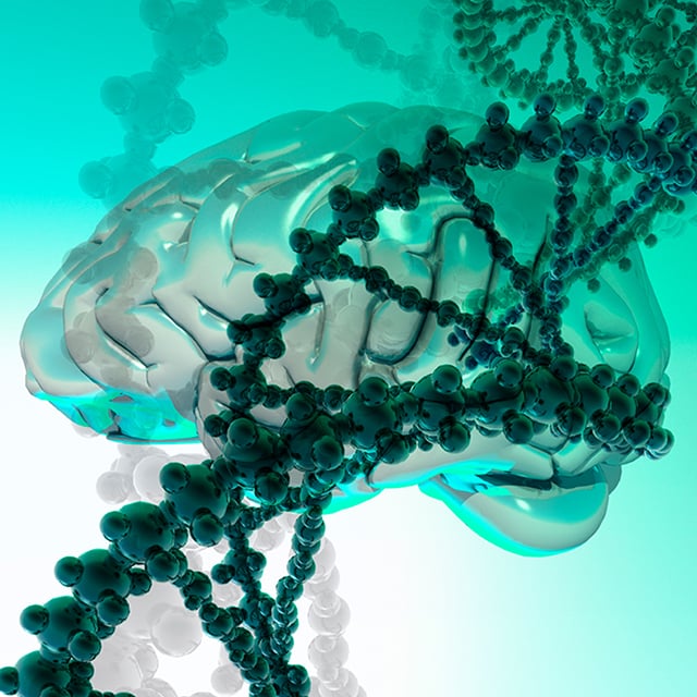 immunogenetics-of-neurological-diseases-working-group-2x