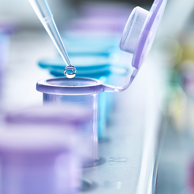 ucsf-division-of-allergy-immunology-and-bmt-research-2x