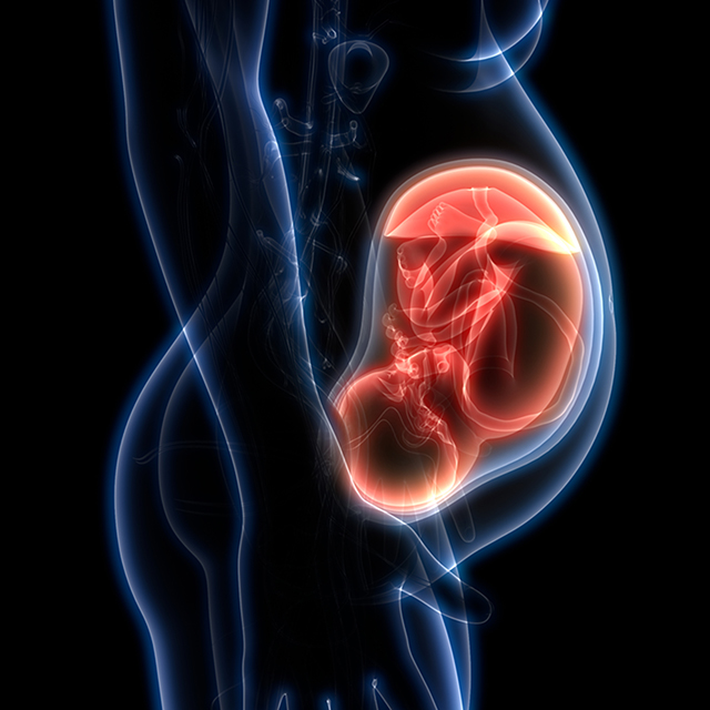 ucsf-fetal-treatment-center-research-2x
