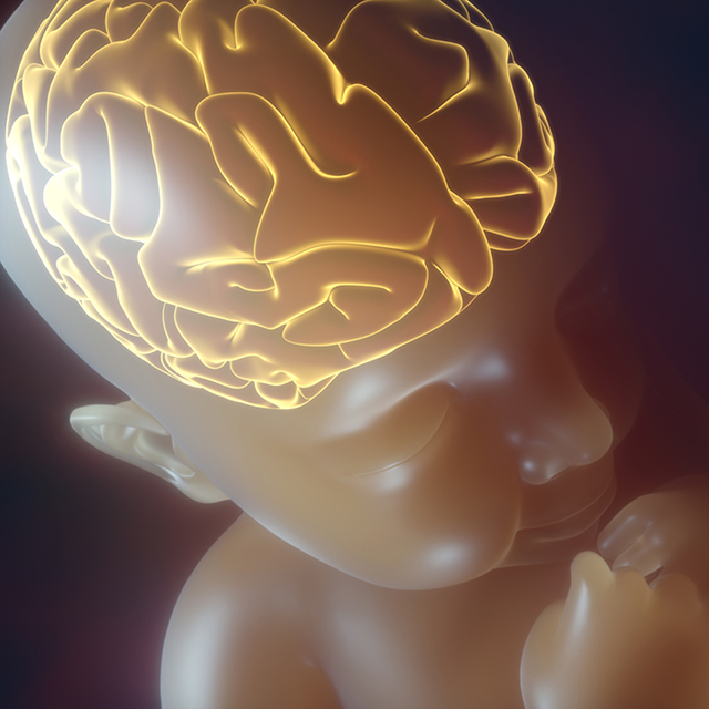 ucsf-newborn-brain-research-institute-2x