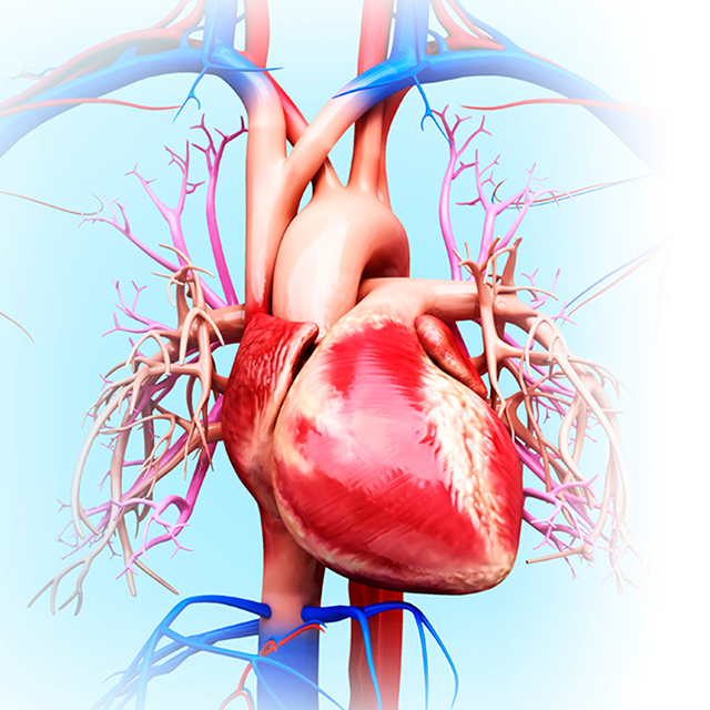 ucsf-pediatric-heart-center-research-2x