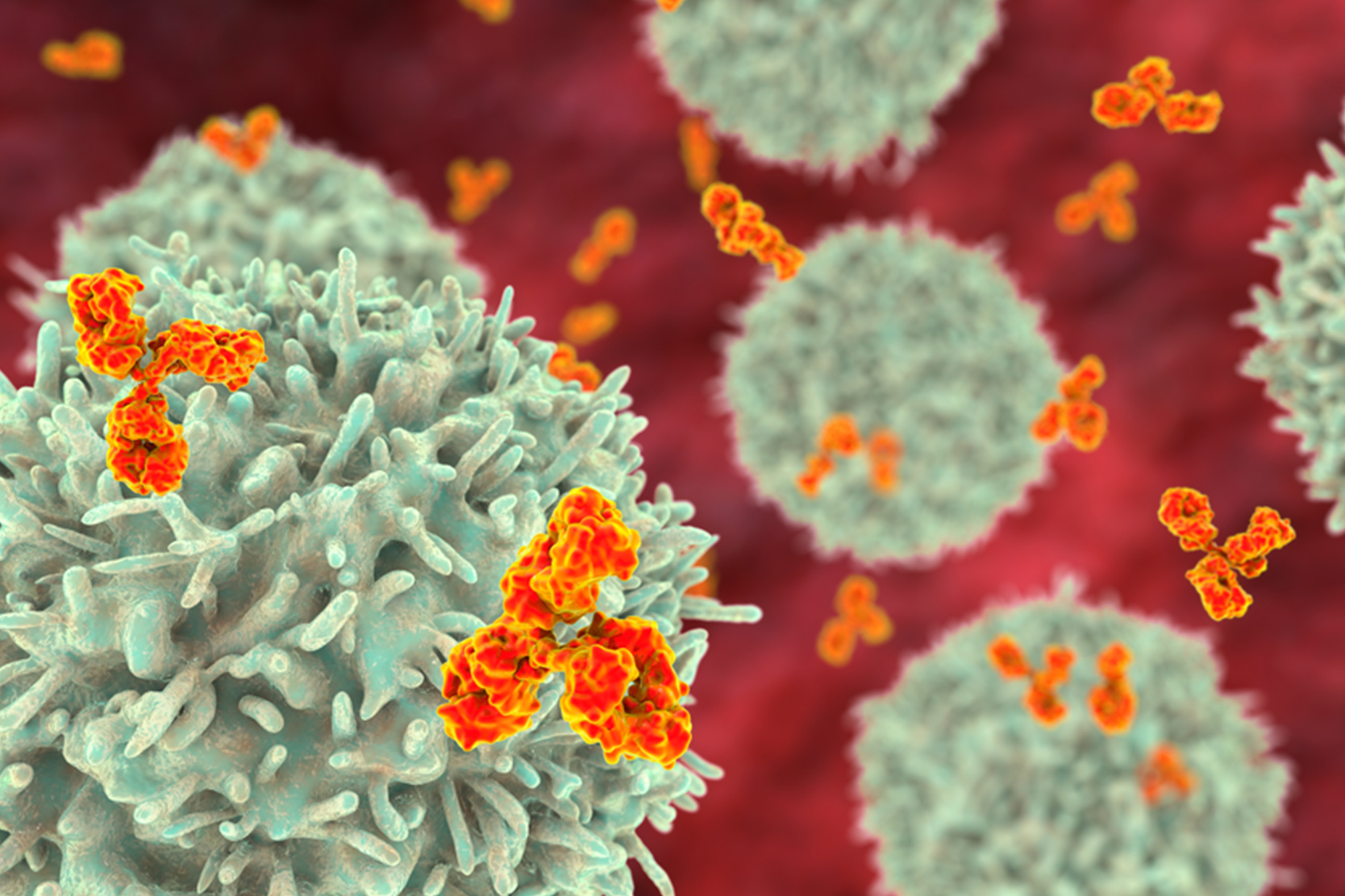 severe-combined-immunodeficiency-treatment-2x